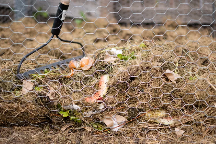 a scrap of compost with a rake